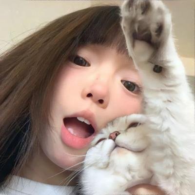 朝阳特烦恼